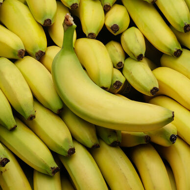Bananes Vertes Fraîches Cavendish en Vrac Import Export