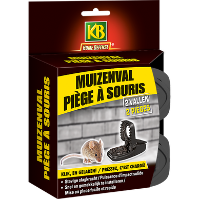 KB HOME DEFENSE HDGLUE2 - Pièges à Glu pour Rats et Souris x 2 - Colle  extra forte : : Sports et Loisirs
