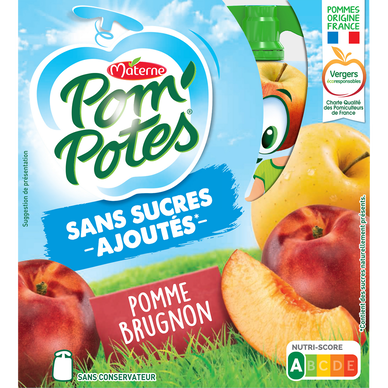 Pom'Potes Compote gourde sans sucres ajoutés Pomme BIO 48 x 90 g - TAK  Market