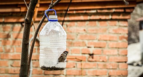 Une mangeoire à oiseaux de récup' en recyclant ses objets du quotidien